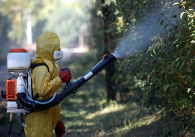 fumigacion en Bogota