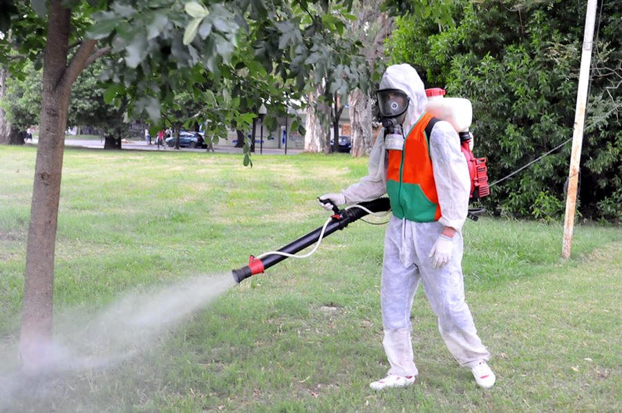 fumigaciones Bogotá